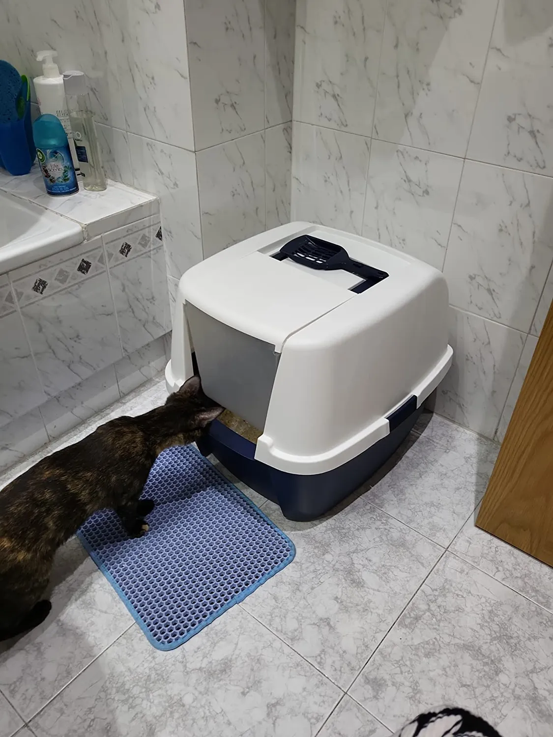 Iris Ohyama CLH-17J Katzenklo mit Deckel Blau Schaufel bis 4 kg