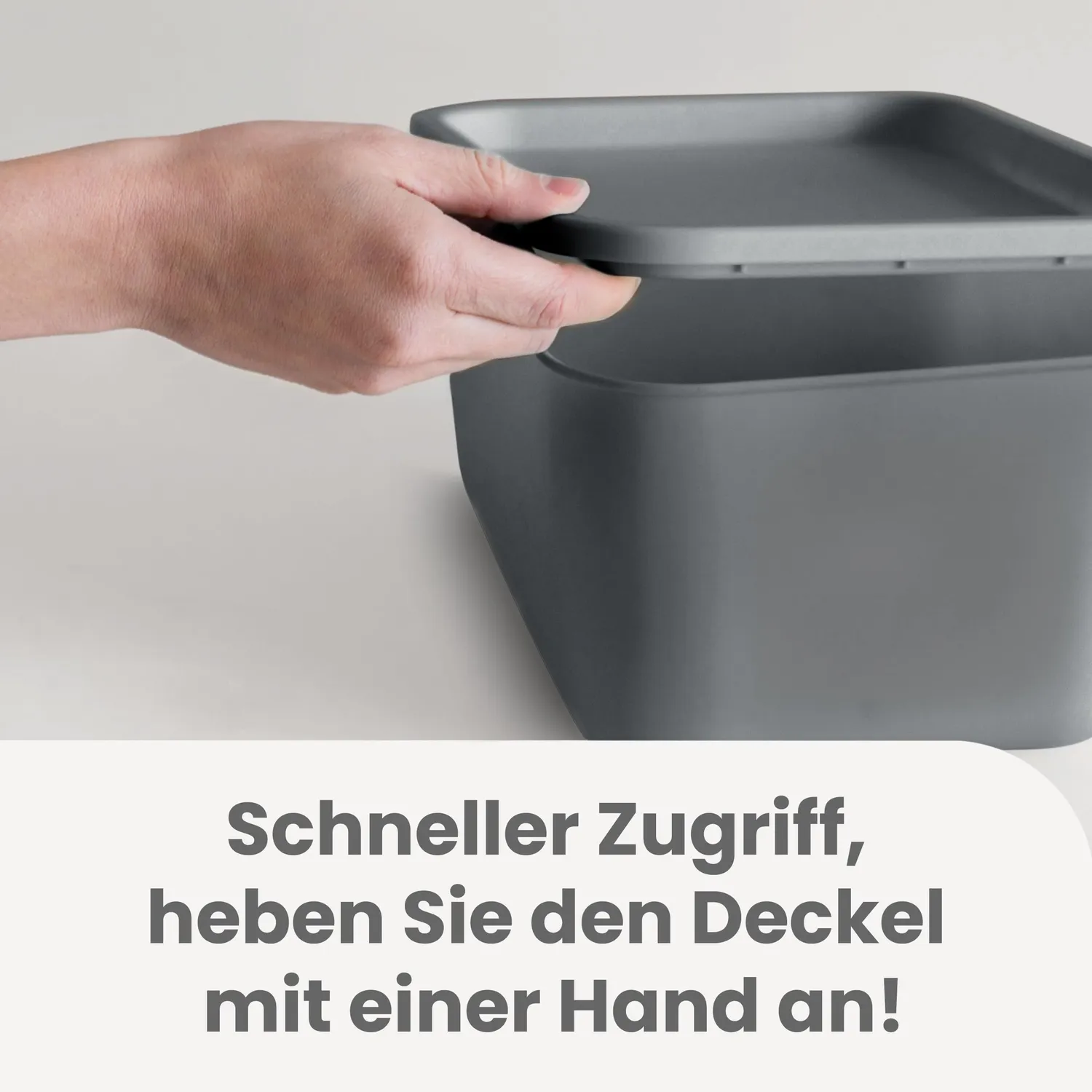 Iris Ohyama SNL-MD Aufbewahrungsbox Grau 22L 3er-Set mit Deckel