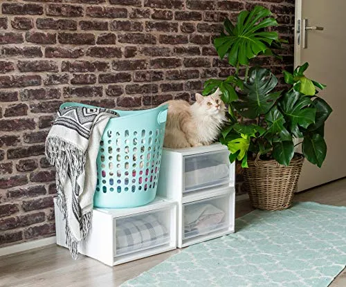 Iris Ohyama Maxi Drawer L Schublade 40L gefrostet weiß stapelbar