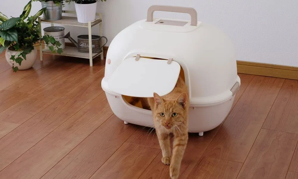 Iris Ohyama WNT-510 Katzentoilette geschlossen beige für Katzen bis 5kg